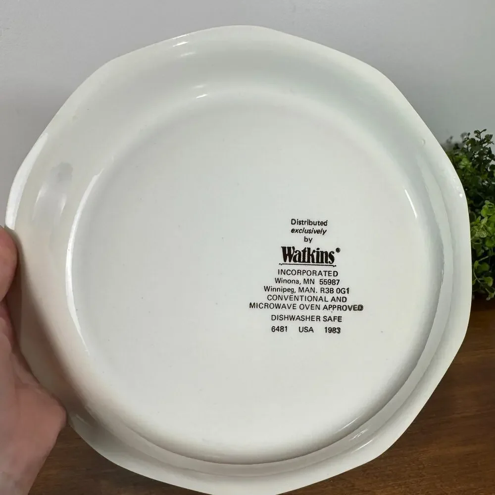 Watkins Mexican Sombrero Pie Recipe Ceramic Pie Plate Vintage USA 1983